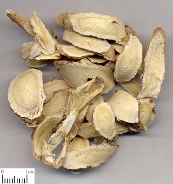 Astragaloside IV